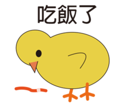 Young chicks sticker #15889532