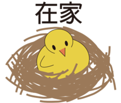 Young chicks sticker #15889533