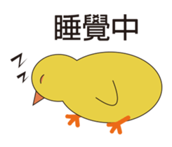 Young chicks sticker #15889535