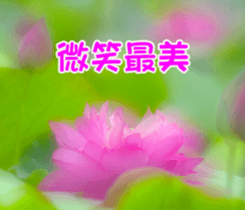 The beautiful flowers sticker #15889971