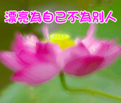 The beautiful flowers sticker #15889972