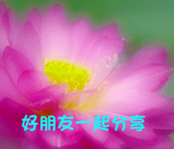 The beautiful flowers sticker #15889973