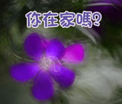 The beautiful flowers sticker #15889977