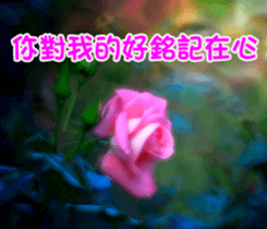 The beautiful flowers sticker #15889980