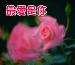 The beautiful flowers sticker #15889981