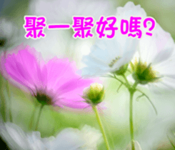 The beautiful flowers sticker #15889982