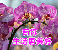 The beautiful flowers sticker #15889985