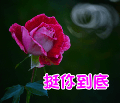 The beautiful flowers sticker #15889986