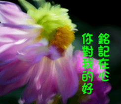 The beautiful flowers sticker #15889987