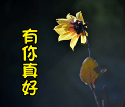 The beautiful flowers sticker #15889988