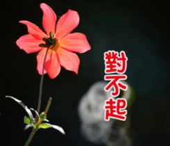 The beautiful flowers sticker #15889989