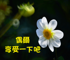 The beautiful flowers sticker #15889990