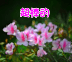 The beautiful flowers sticker #15889993