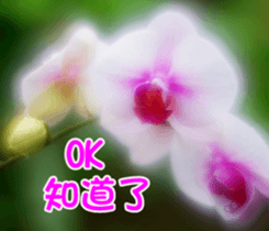 The beautiful flowers sticker #15889995