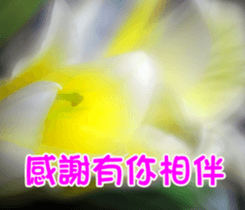 The beautiful flowers sticker #15889996