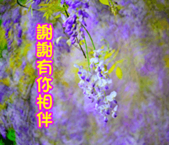 The beautiful flowers sticker #15889997