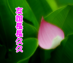 The beautiful flowers sticker #15889998