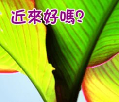 The beautiful flowers sticker #15889999