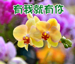 The beautiful flowers sticker #15890004