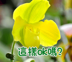 The beautiful flowers sticker #15890006