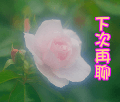 The beautiful flowers sticker #15890007