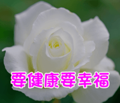 The beautiful flowers sticker #15890008