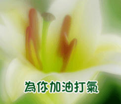 The beautiful flowers sticker #15890009