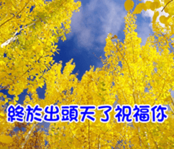 The beautiful world in bless sticker #15890126