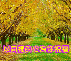 The beautiful world in bless sticker #15890127