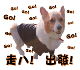 Corgi Laukey Chicken 2 - silly articles sticker #15891192