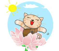 Jnani Cats-Life epiphany-1 sticker #15891354