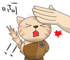 Jnani Cats-Life epiphany-1 sticker #15891377