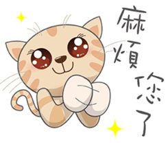 Jnani Cats-Life epiphany-1 sticker #15891387