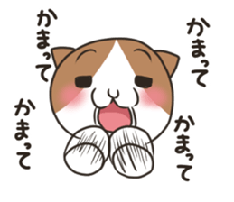 Jealousy cat sticker #15891566