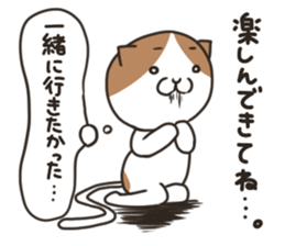 Jealousy cat sticker #15891570