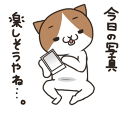 Jealousy cat sticker #15891576