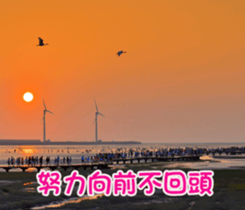 The four seasons in Taiwan has meanings. sticker #15891590