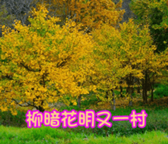 The four seasons in Taiwan has meanings. sticker #15891597