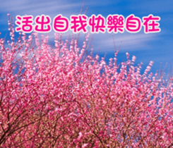 The four seasons in Taiwan has meanings. sticker #15891605