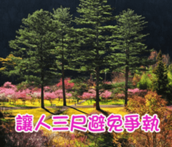 The four seasons in Taiwan has meanings. sticker #15891608