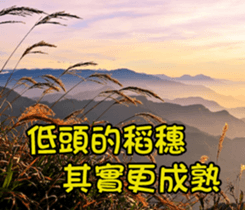 The four seasons in Taiwan has meanings. sticker #15891612