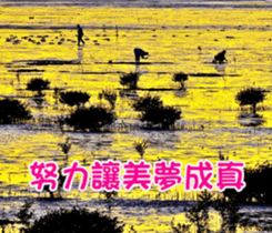 The four seasons in Taiwan has meanings. sticker #15891614