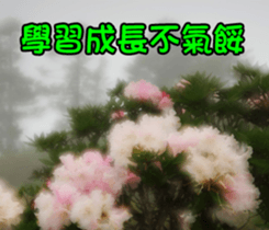 The four seasons in Taiwan has meanings. sticker #15891617