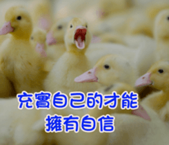 The four seasons in Taiwan has meanings. sticker #15891619