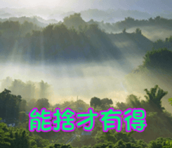 The four seasons in Taiwan has meanings. sticker #15891625