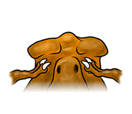 TriathGon, the Drama Qreen sticker #15892021