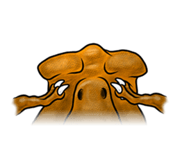 TriathGon, the Drama Qreen sticker #15892021