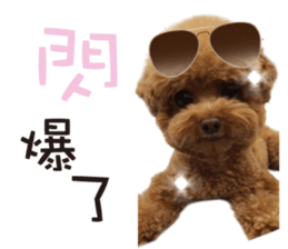 "Honey" raised the lovely little dog sticker #15892539