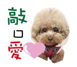 "Honey" raised the lovely little dog sticker #15892540