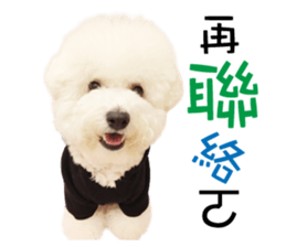 "Honey" raised the lovely little dog sticker #15892541